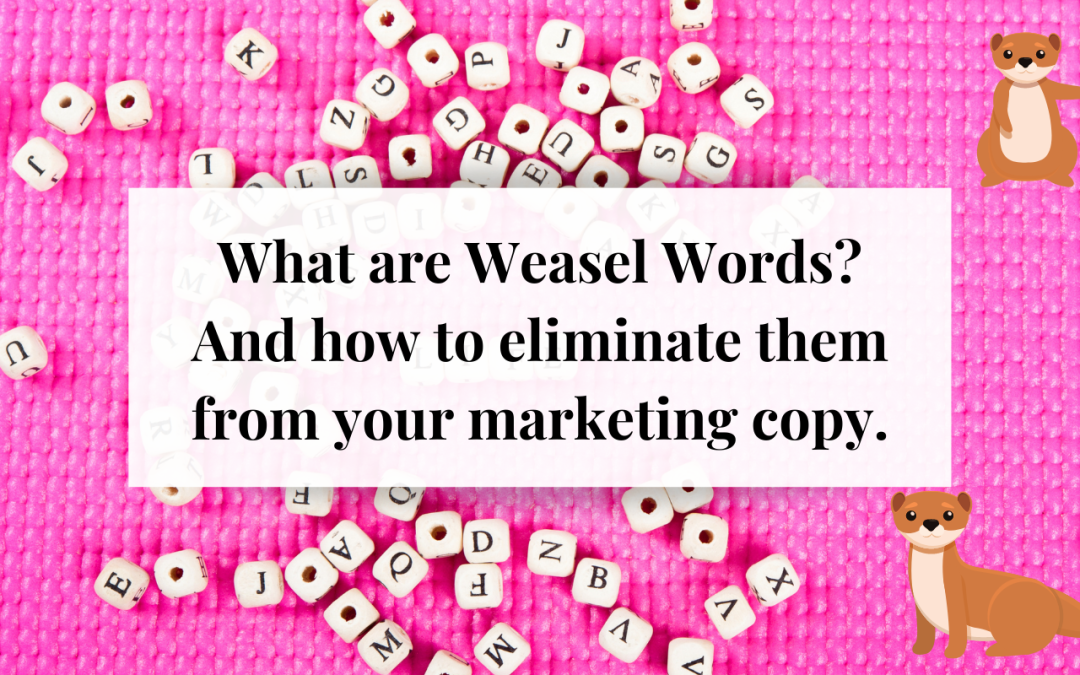 What are Weasel Words? And how to eliminate them from your marketing copy.