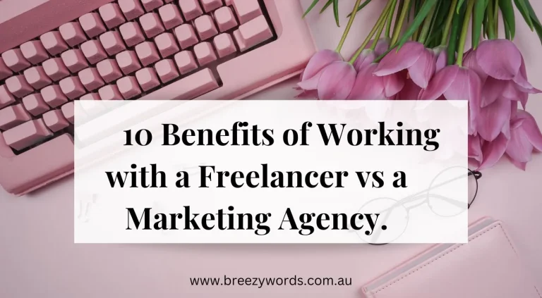 Freelancer-vs-a-Marketing-Agency