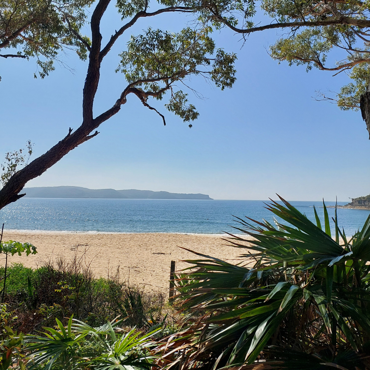 Seo Content Writer Sydney Central Coast